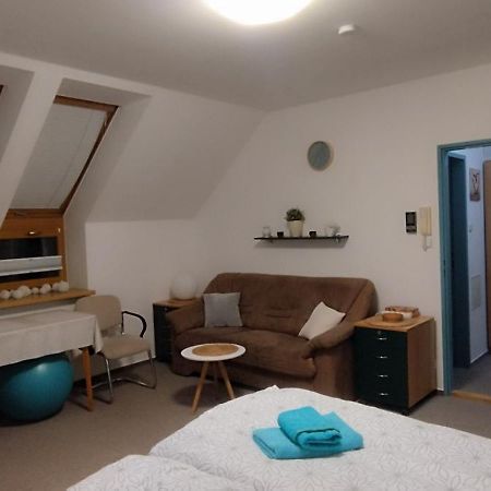Apartment Bertik Třeboň Eksteriør billede